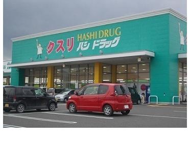 ハシドラッグ南福島店：550m