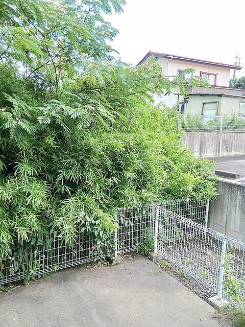 レジデンストーリン（105） その他部屋・スペース