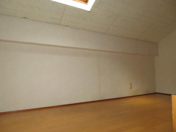 エルミタージュ（202） 部屋画像