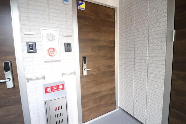 Ｄ−ＲＯＯＭ　野田町（203） 玄関