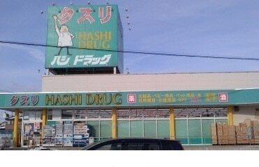 ハシドラッグ腰浜店：950m