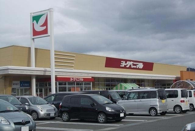 ヨークベニマル太平寺店：900m