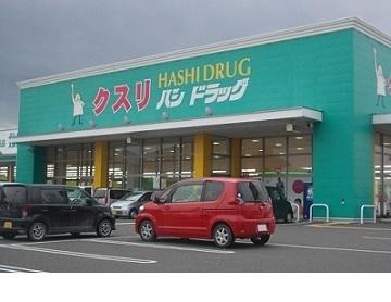 ハシドラッグ南福島店：550m