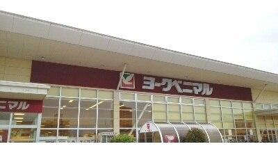 ヨークベニマル野田店：1600m