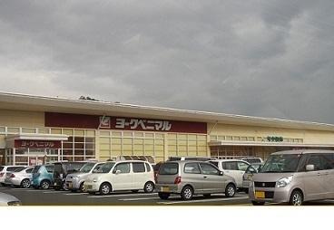 ヨークベニマル野田店：1100m