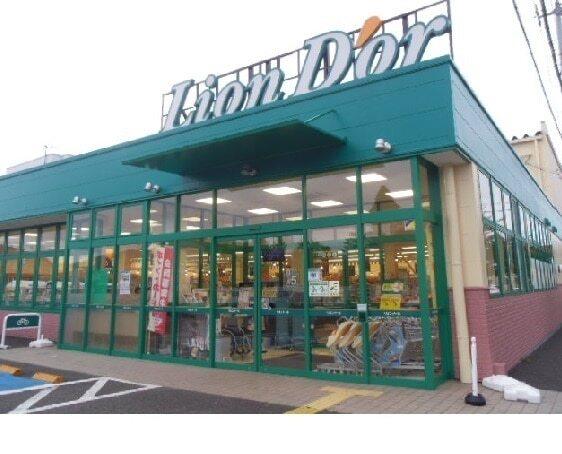リオン・ドール南中央店：1100m
