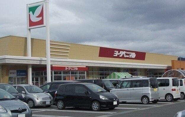 ヨークベニマル太平寺店：1100m