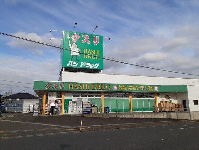 ハシドラッグ腰浜店：2200m