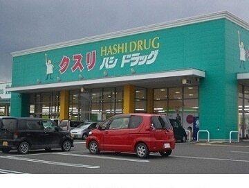 ハシドラッグ南福島店：1100m