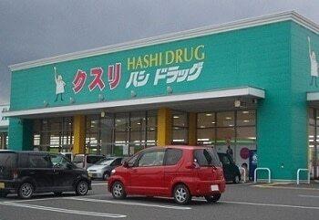 ハシドラッグ南福島店：700m