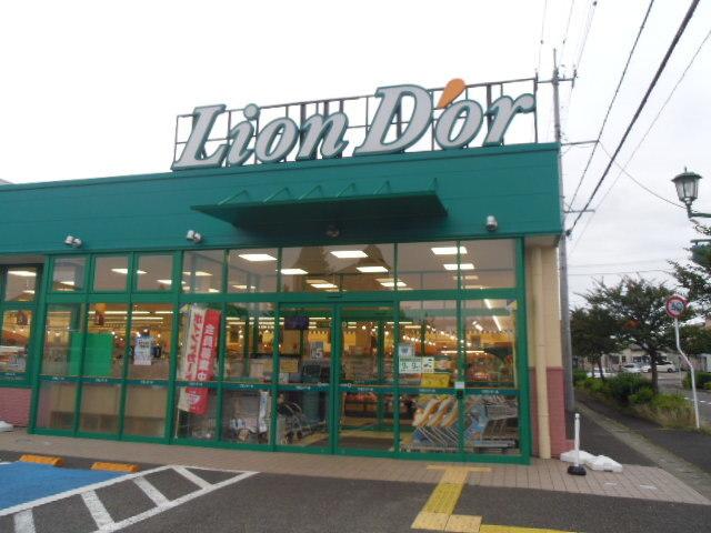 リオンドール南中央店：400m