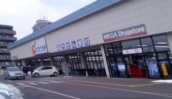 カワシ薬品福島東店：1300m
