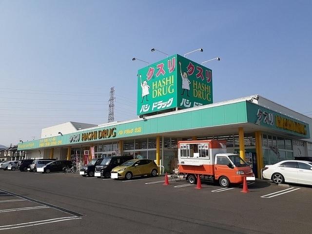 ハシドラッグ北店：320m