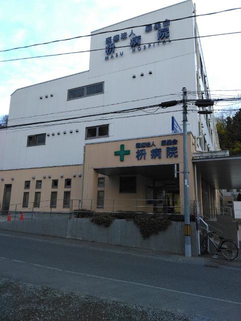 医療法人辰星会枡病院：726m