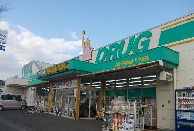 ハシドラッグ八木田店：800m