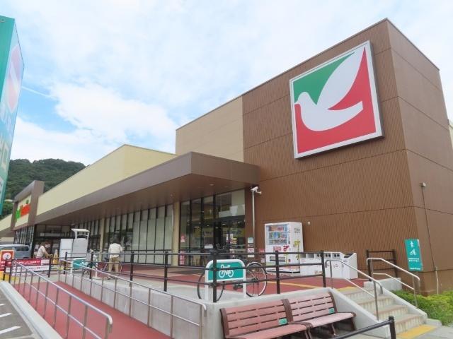 ヨークベニマル入江町店：442m
