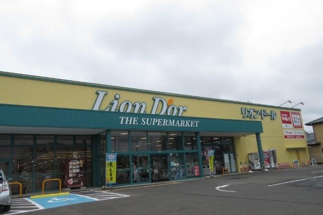 リオン・ドール野田店：476m