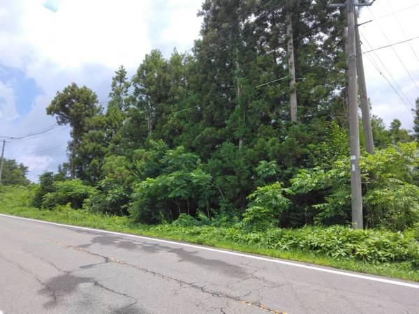 大玉馬場平土地 土地