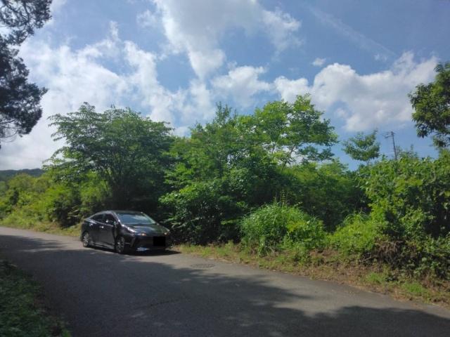 土地1