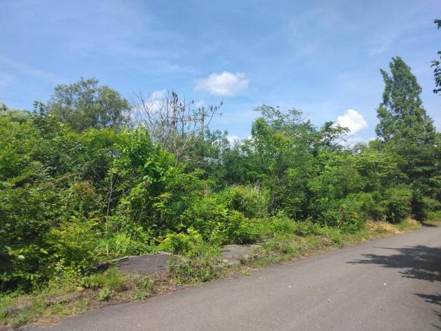土地2