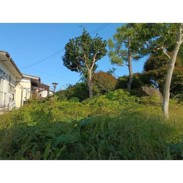 福島県二本松市若宮１丁目