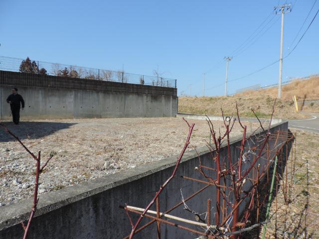 原町区馬場赤柴　売地 土地画像