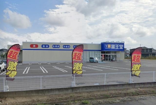 薬王堂原町大木戸店