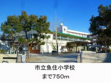 明石市立魚住小学校：966m