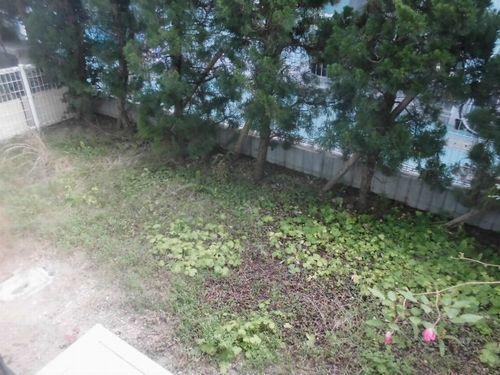 タウンハウス久兼 庭
