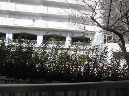 明石市東野町マンション 眺望