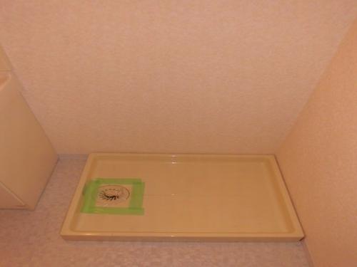 神戸市西区持子マンション 設備
