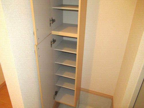 ドゥムールストレチア 収納