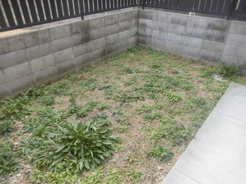明石市魚住町錦が丘マンション 庭