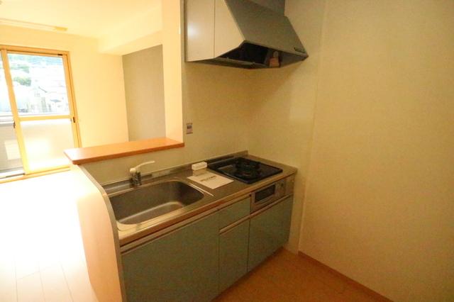 パークハイム参番館　Ｂ棟（105） キッチン