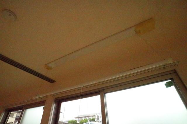 パークハイム伍番館（101） 部屋画像
