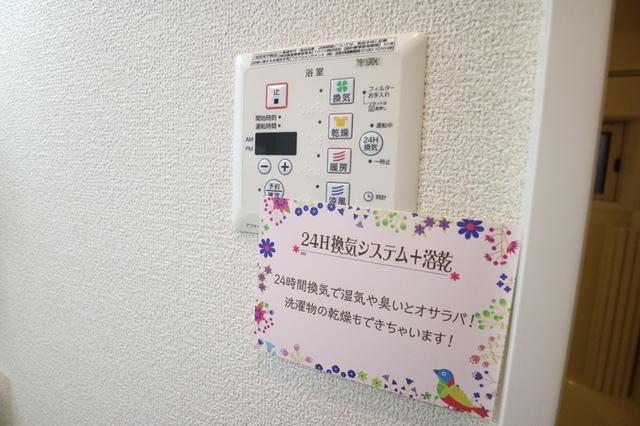 エルミタージュ（102） 部屋画像