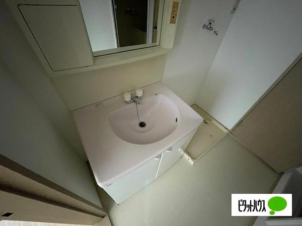 石林ハウス 洗面