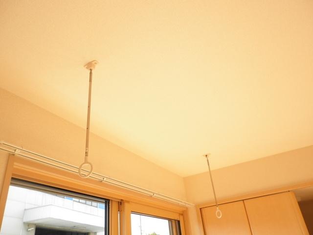 ヴィアーレ（101） その他