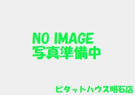 明石市藤江マンション 部屋画像