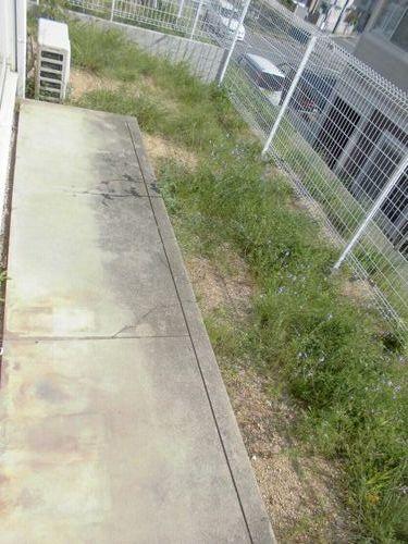 明石市魚住町清水アパート バルコニー
