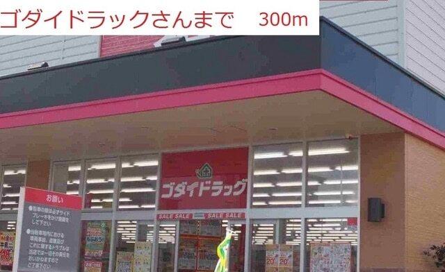 ゴダイドラッグ：300m