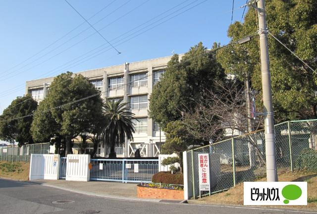明石市立江井島中学校：1717m