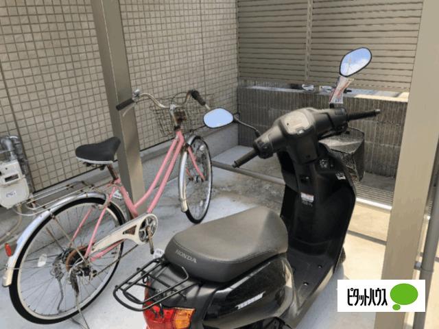 Sumika B棟 共有部分