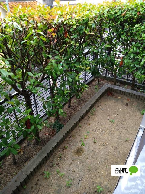 明石市東山町一戸建 庭