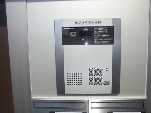 サンフラワー 物件画像