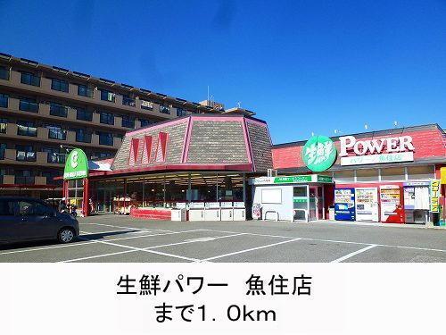 周辺環境画像