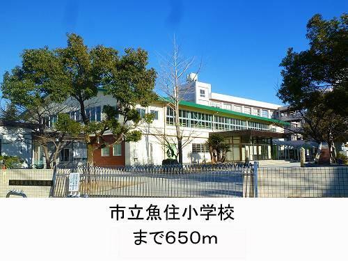 明石市立魚住小学校：735m