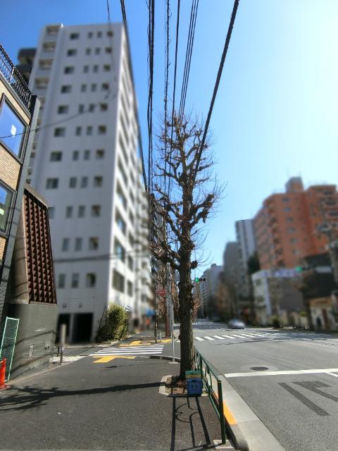 前面道路は幅広にて開放的な住環境です。