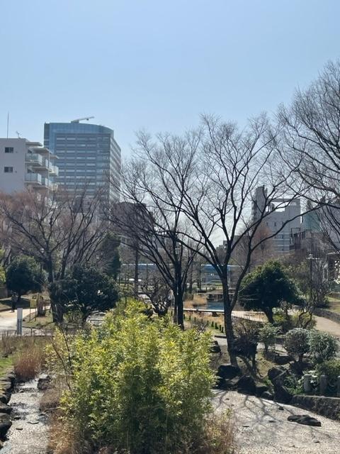 カンファ・ツリー（604） 物件画像