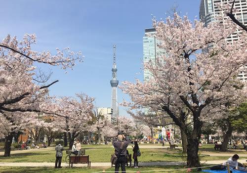 公園